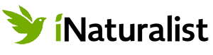 iNaturalist logo